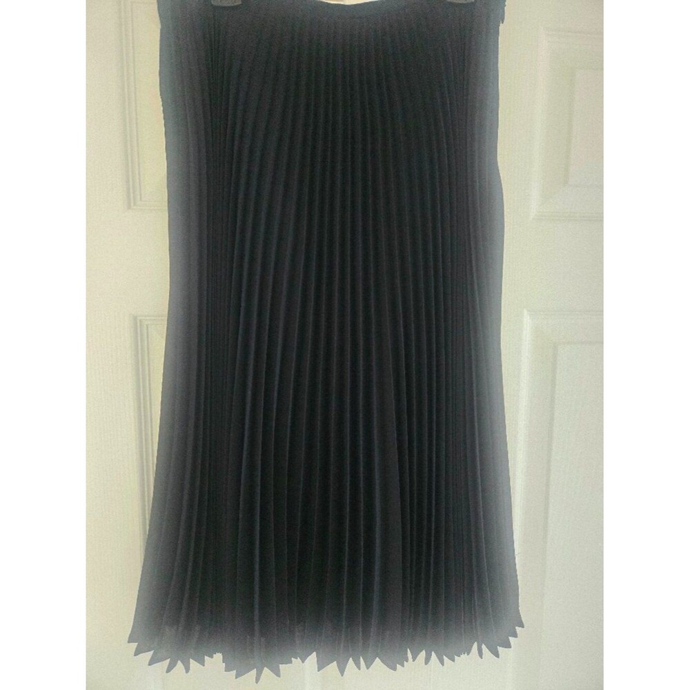 NWOT Dana Buchman pleated skirt